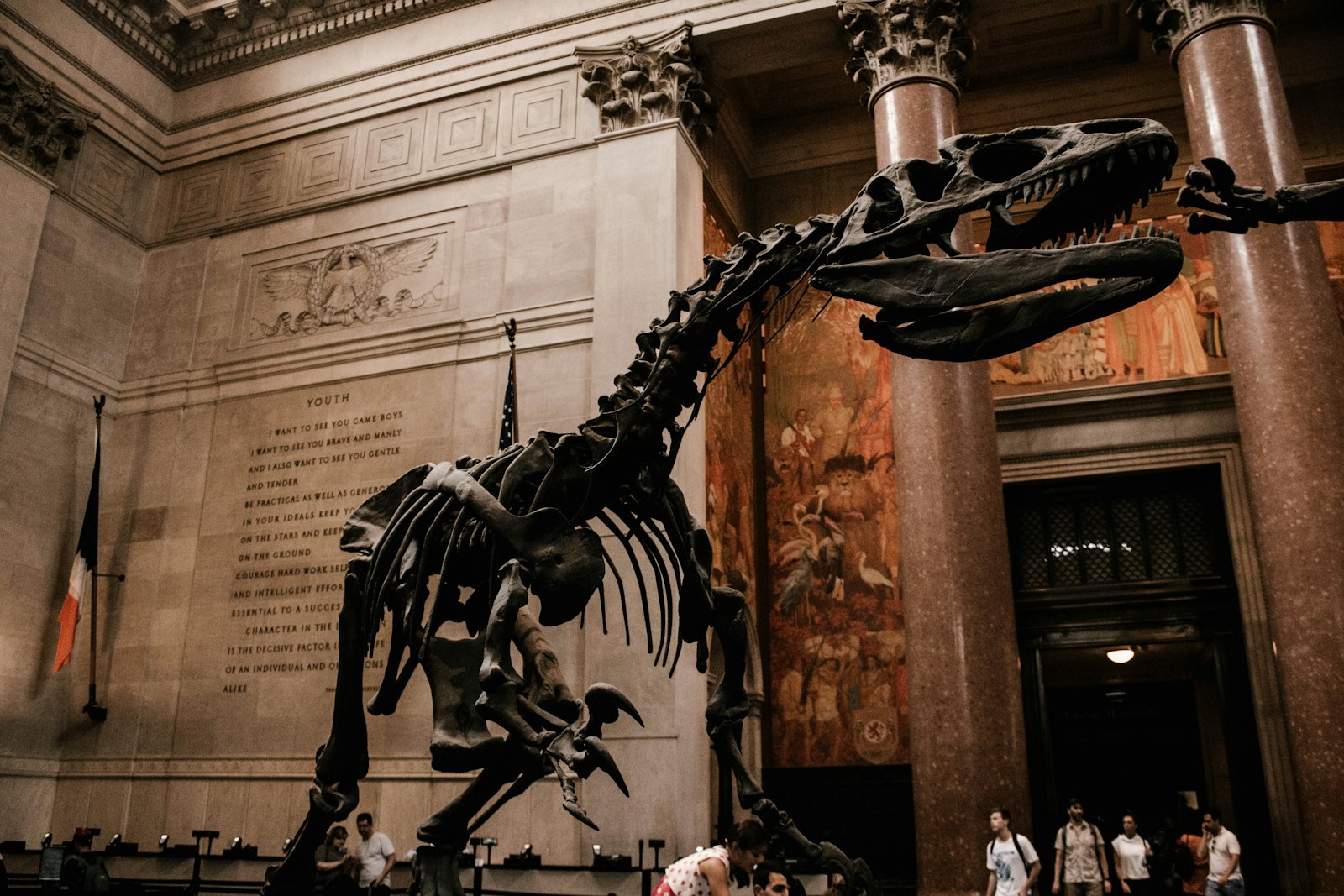 Squelette de dinosaure dans un musée majestueux.